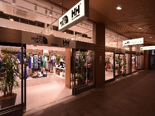273593770